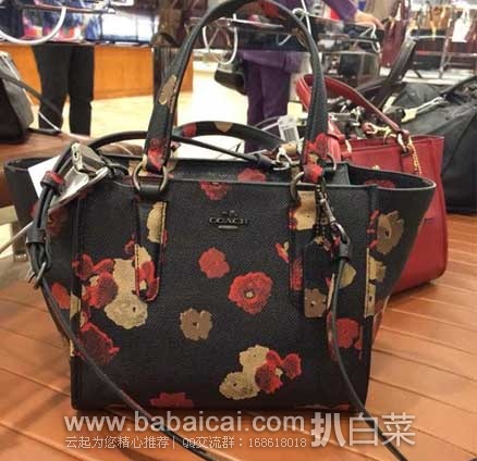 coach-carryall-1