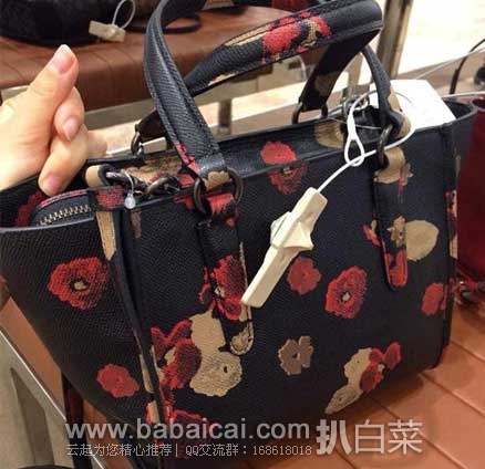 coach-carryall-2