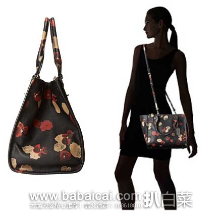 coach-carryall-4