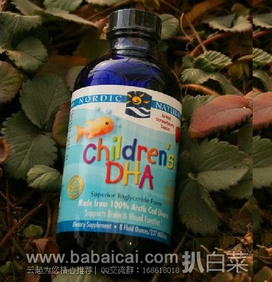 iHerb：childlife儿童液体钙镁锌1瓶+Nordic Naturals 挪威中鱼大瓶装1瓶，用码减$5.21，直邮包邮包税到手仅￥280