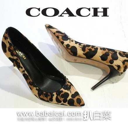 6PM：COACH 蔻驰 Smith 女士 麂皮 性感尖头高跟鞋  原价$255，现3.1折售价$79.99