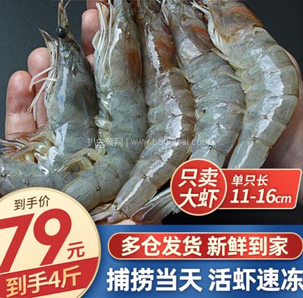 天猫商城：极鲜 鲜冻白虾 净重1400g   现￥79，领￥30优惠券，券后￥49元包邮