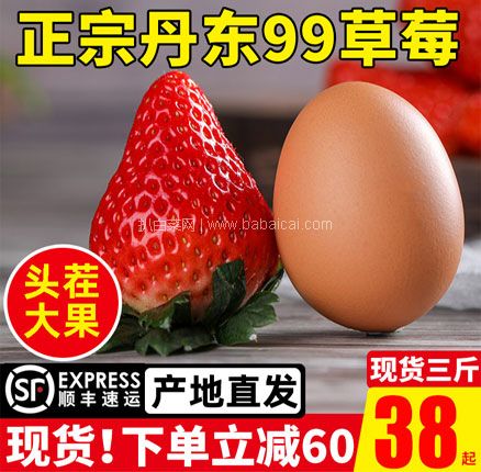 天猫商城：珍莓好 辽宁丹东99草莓头茬大果 3斤 双重优惠后￥115元包邮