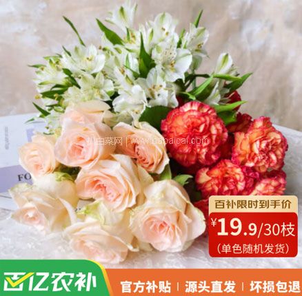 京东商城：鲜花 玫瑰10枝+康乃馨10枝+六出花10枝 共30枝￥19.9元包邮