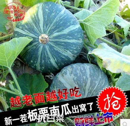 淘宝Taobao:老农印象 高原特产板栗味新鲜南瓜 5斤 现售价¥19.9,领券减¥10,实付¥9.9包邮