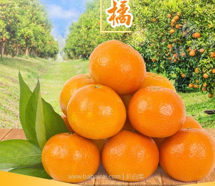 天猫商城:雪峰源 湖南石门蜜桔 5斤 现价¥18.8,叠加¥5优惠券,实付¥13.8包邮