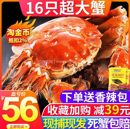 天猫商城:御佰鲜 江苏六月黄大闸蟹 16只 0.8~1.8两 现价¥95,双重优惠后¥56元包邮