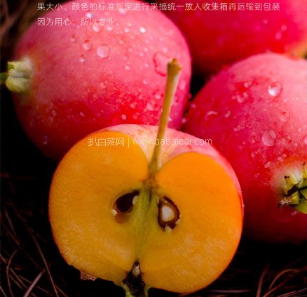 天猫商城:内蒙古新鲜水果特产 沙果 5斤 现价¥29.9,领¥5优惠券,券后实付¥24.9顺丰包邮