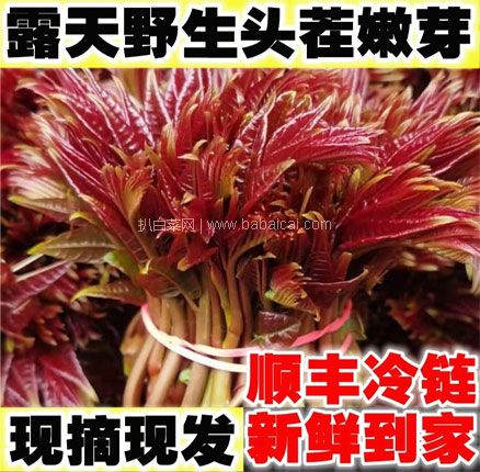 天猫商城：山东泰山农特产 头茬新鲜香椿芽 1斤  现￥22.9，叠加￥10优惠券，券后￥12.9元包邮