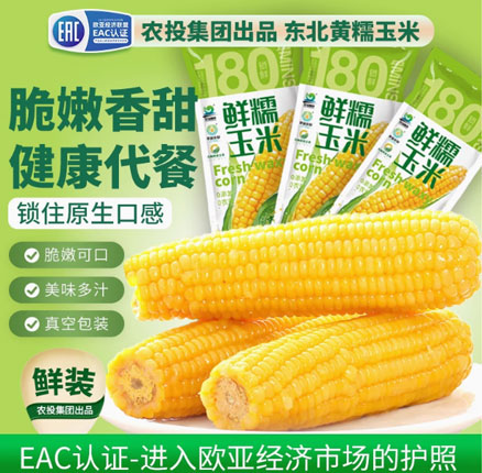 一等大棒!黄糯/黑糯玉米同价任选!吉林 田本部 黄糯玉米一等大棒 280~340g*8棒15.5元包邮